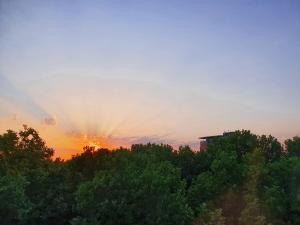 Annelies 04 Zonsondergang Insulindeweg